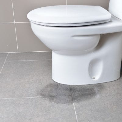 Got a Leaky Toilet? Check for These Common Culprits!