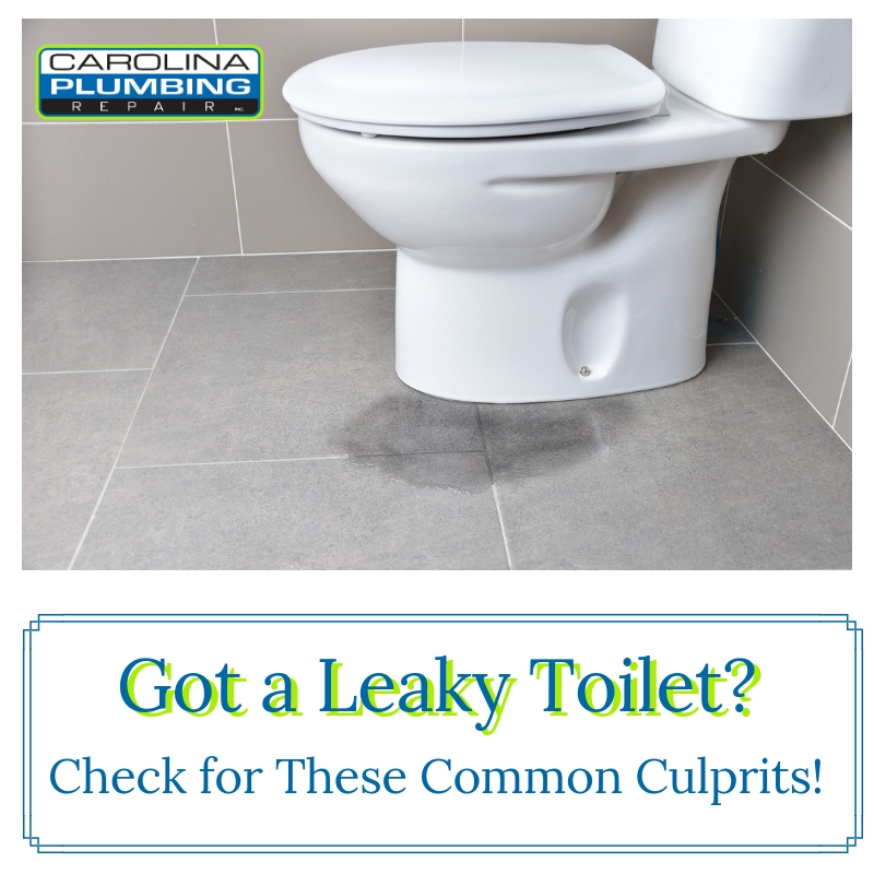 Leaky Toilet