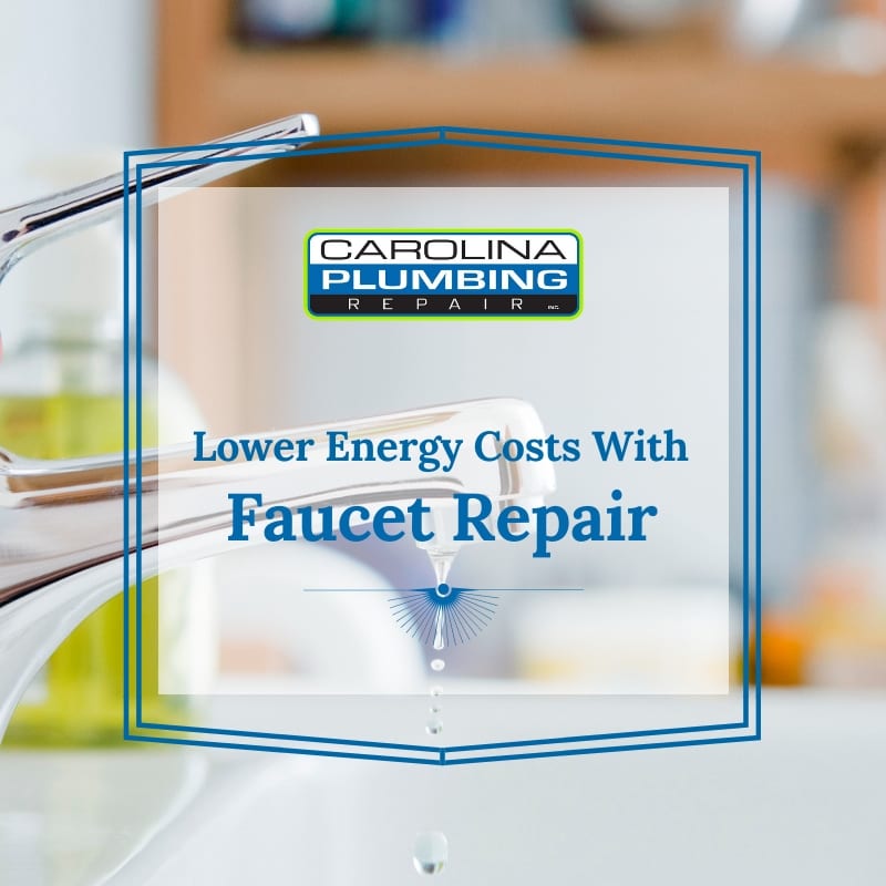 Faucet repair can prevent mold growth and hard water stains