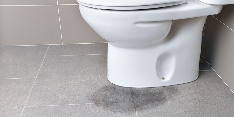 Three Common Causes of Leaky Toilets