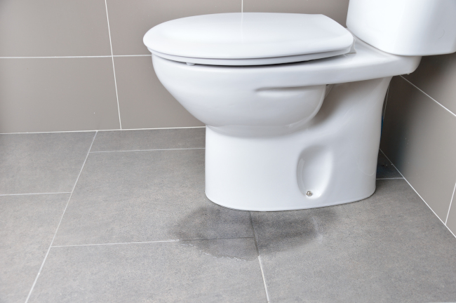 What Causes a Leaky Toilet?